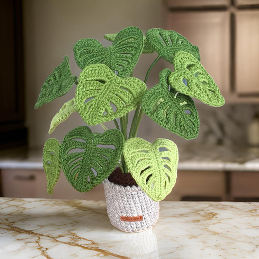 Haakpatroon Monstera Plant PDF